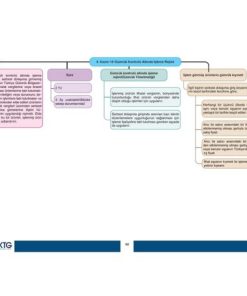 Alternative view of 2026 Zihin Haritaları ile Gümrük Kanunu ve Gümrük Yönetmeliği-Kaçakçılıkla Mücadele Kanunu-BKK